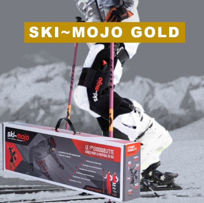 Ski~Mojo, Site Officiel